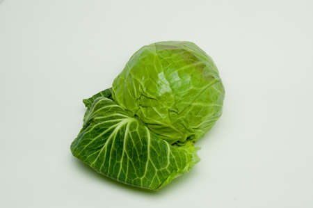 Fresh green young white cabbage on a white backgroundの写真素材