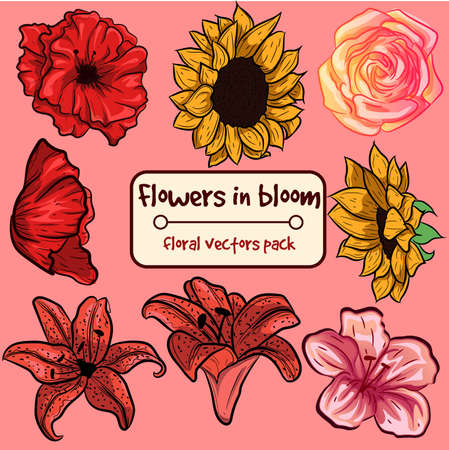Flowers in bloom - small collection pack. Ornamental isolated vectors with floral elements.のイラスト素材