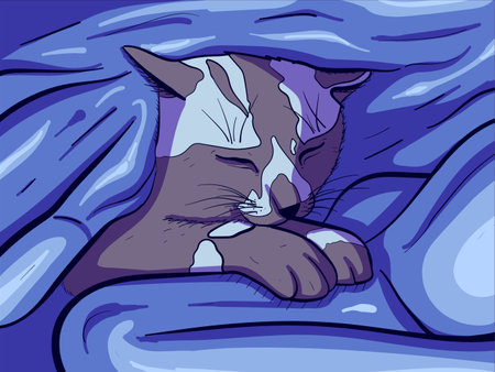 Vector art of a sleeping cat under a warn and cozy blanket. Digital drawing of a small kitten purring.のイラスト素材