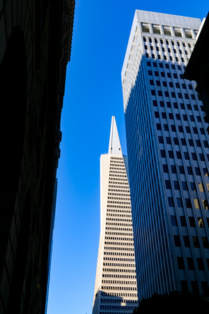 The Transamerica Pyramid Tower in San Francisco, California.のeditorial素材
