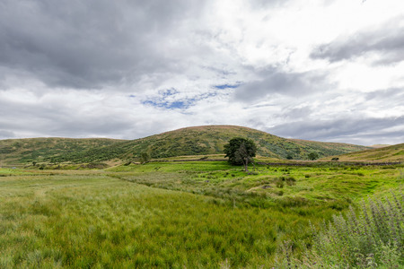 A dried stream in summer invites wildflowers to grow in the highlands of Scotland outside of Crieff.の写真素材