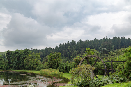 Pond and forest at the Recinto Del Pensamiento nature reserve near Manizales, Colombia.の写真素材