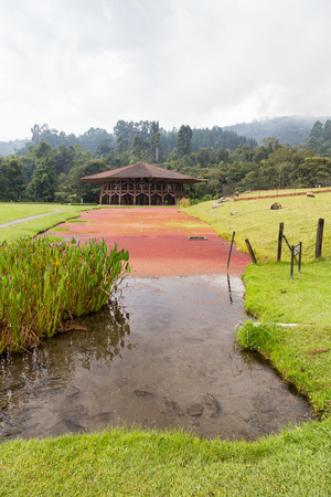 Fish swim in a pond at the Recinto del Pensamiento nature reserve near Manizales, Colombia.の写真素材
