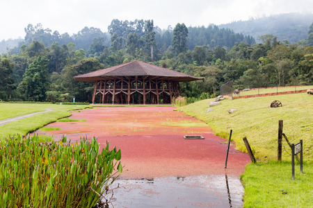 A natural pond at the Recinto del Pensamiento nature reserve near Manizales, Colombia.の写真素材