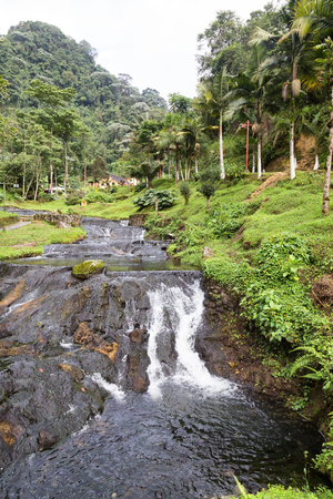 Cascading stream near the Santa Rosa Thermal Spa near Santa Rosa de Cabal in Colombia.の写真素材