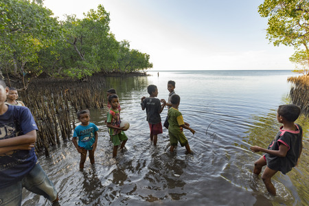 MAUMERE, INDONESIA - MAY 9: Unidentified kids play at the mouth of a small stream in a mangrove forest on the outskirts of Maumere, Indonesia on May 9, 2017.のeditorial素材