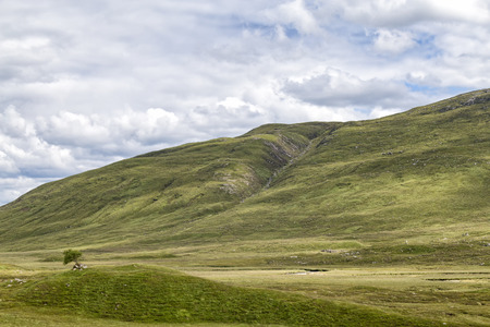 A lone tree among the barren landscape near the Battle of Glen Shiel historical site in Scotland.の写真素材