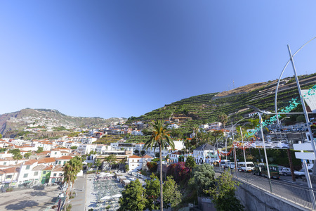 Produce growing on the hillside above Camara de Lobos in Madeira, Portugal.のeditorial素材