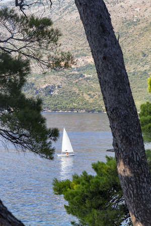 A boat framed by trees in Cavtat, Croatia.の写真素材