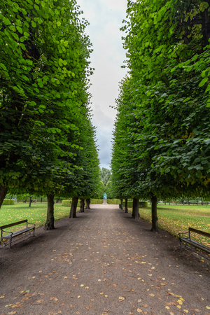 A tree lined path in the gardens of Rosenborg Castle in Copenhagen, Denmark.のeditorial素材