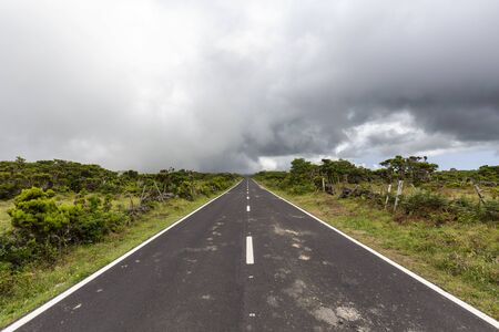 Fast moving coastal clouds billowing over the EN3 road on Pico island in the Azores, Portugal.の写真素材
