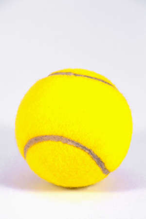  Tennis ball on a white backgroundの写真素材
