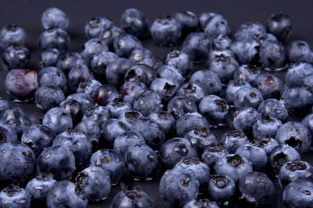 Blueberries on black backgroundの写真素材