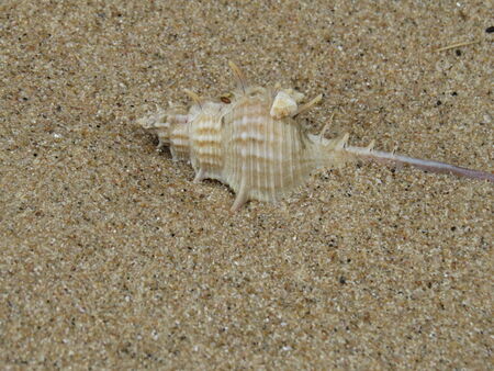 sand