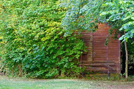 Old garden arborの写真素材