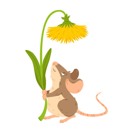 Little forest mouse holding dandelion. Meadow vole with flower. Rat keep blossom. Vector character isolated illustration on white background.のイラスト素材