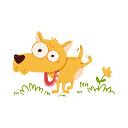 Little dog with big eyes pee on flower. Chihuahua in collar with spikes on walk. Funny vector illustration in flat style isolated on white background.のイラスト素材