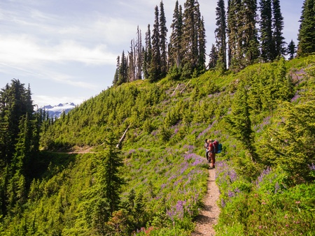 Two women backpacking through field of wildflowersの写真素材