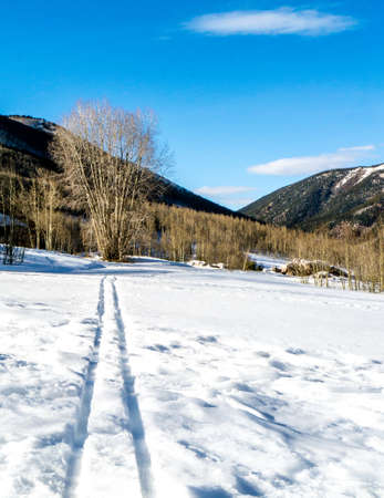 Single pair of cross country ski tracks under a blue winter skyの写真素材