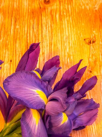 bunch of iris on plywood background, portrait orientationの写真素材