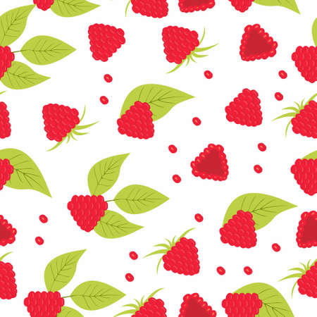 Raspberry pattern. Berries fruit patternのイラスト素材