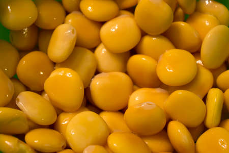 This is a closeup photograph of Lupini beansの写真素材