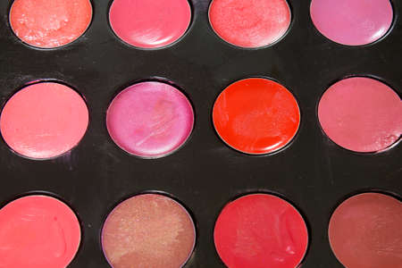 This is a photograph of a Lipstick paletteの写真素材