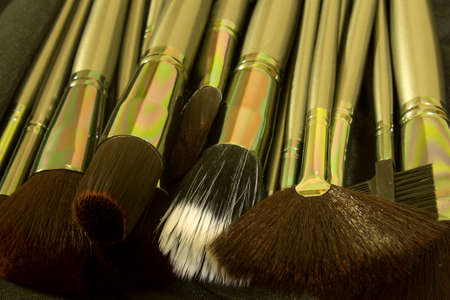 This is a photograph of Makeup brushes set