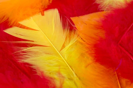 This is a photograph of Yellow,Red and Orange craft feathers backgroundの写真素材