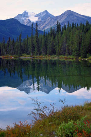 Lake in Albertaの写真素材