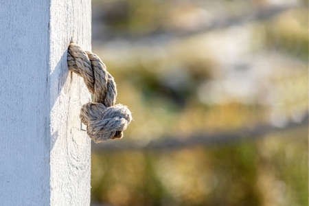 Rope end on a wooden background. Abstract symbol of medical problems with male penisの写真素材