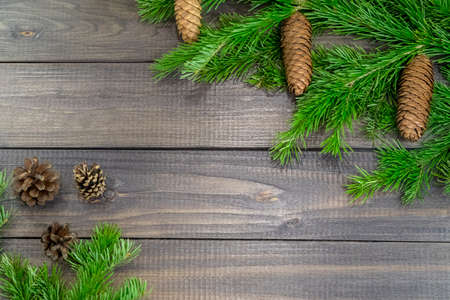 Christmas background. Fir-tree and spruce bumps.