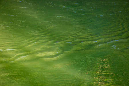 Reflection of the green summer trees in the moving water with warm sunlight and artistic atmosphere
