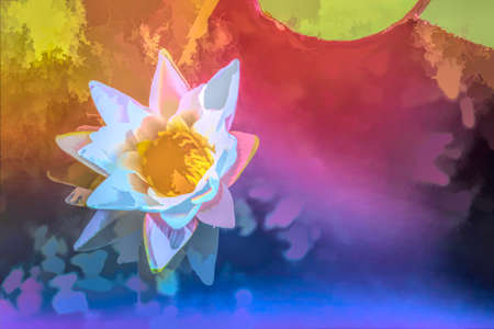 Romantic view. Water-lily in the pondの写真素材