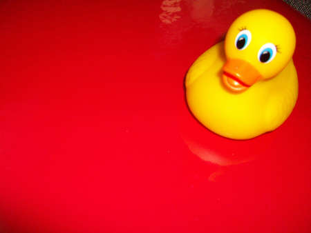 Red  rubber  duck  on  red  backgroundの写真素材