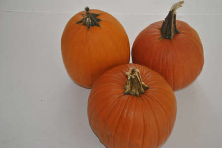 3  pumpkins  for  piesの写真素材