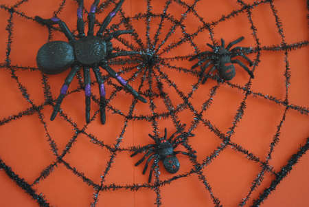 spiders  on  web  on  orange  backgroundの写真素材