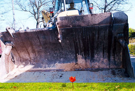 beauty and the beastの写真素材