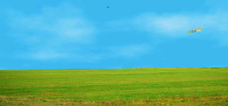 One plane and a bird free flying over the fields