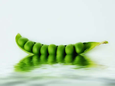 green beans floating on the water surfaceの写真素材