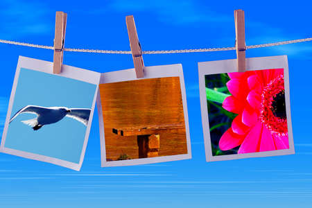 photos cartoon on the string outdoors in a sunny day