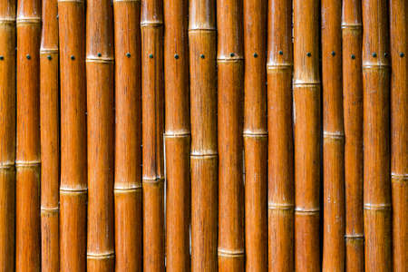 Bamboo Fencing Background Detail の写真素材
