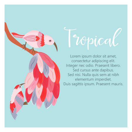 Tropical background with exotic birds and place for textのイラスト素材
