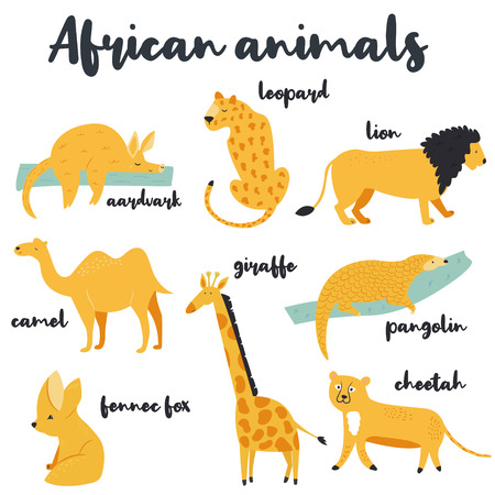 Big set of african animals on white backgroundのイラスト素材