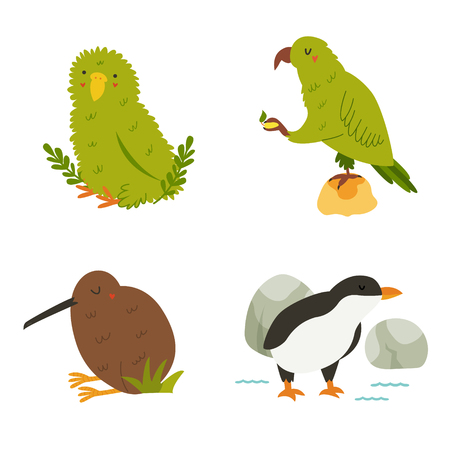 Set of New Zealand birds kea, kakapo, kiwi penguinのイラスト素材