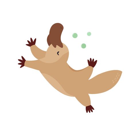A Cute Australian platypus Animal character designのイラスト素材