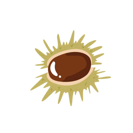 Hand drawn illustration of a chestnut with textured effectのイラスト素材