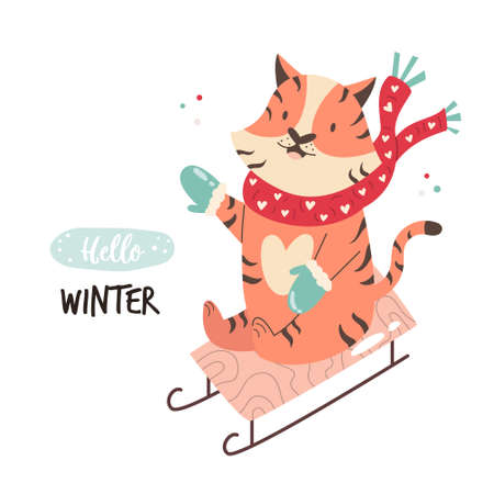 Funny illustration with a happy tiger on a sledge. Cartoon animal for Chinese New Yearのイラスト素材