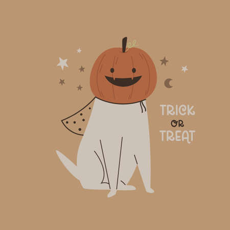 Halloween illustration with a funny dog with pumpkin headのイラスト素材