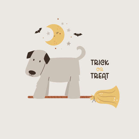 Halloween illustration with funny dog on a witch broomのイラスト素材